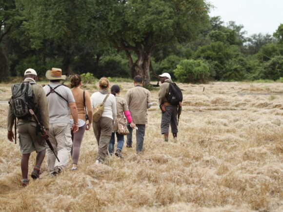Where to Go in Tanzania in April