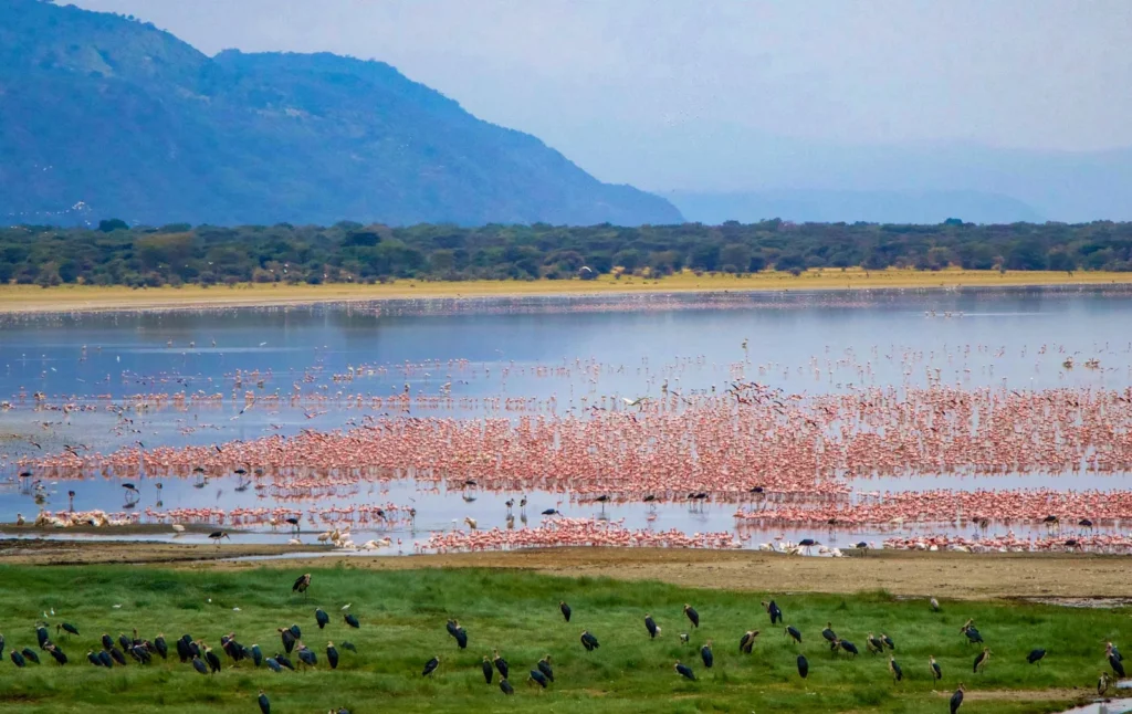 8-Day Ultimate Serengeti and Ngorongoro Safari Adventure