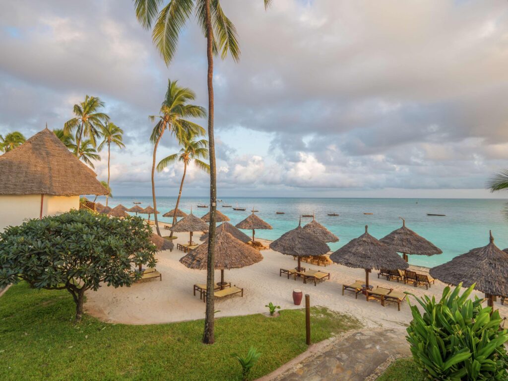 Tanzania Safari: Best time of the year?