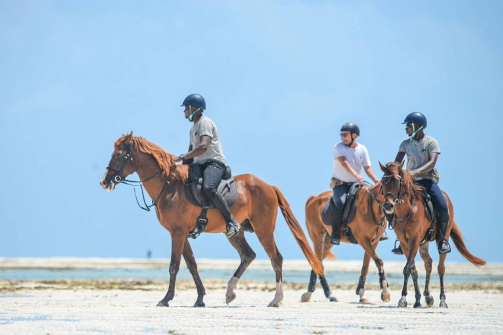 Horseback Riding in Zanzibar