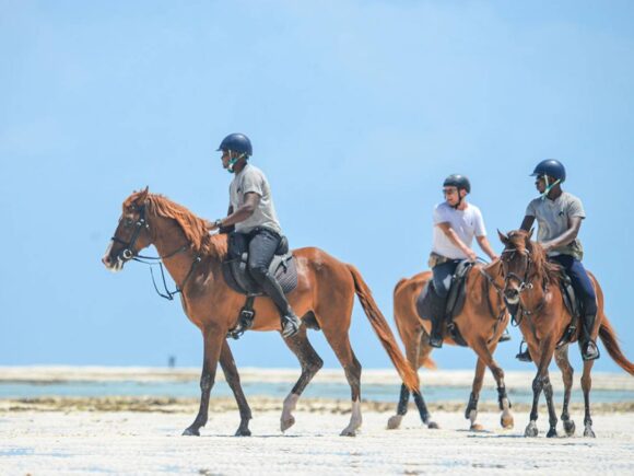 Horseback Riding in Zanzibar