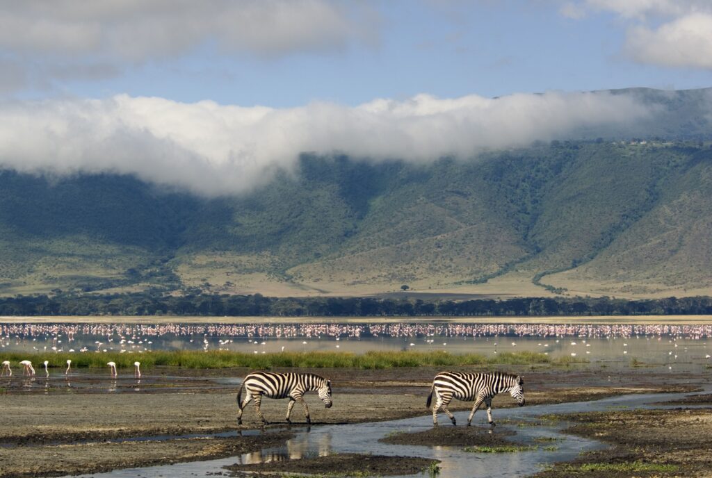 Ngorongoro-Schutzgebiet im Luxus-Stil – per Flugzeug