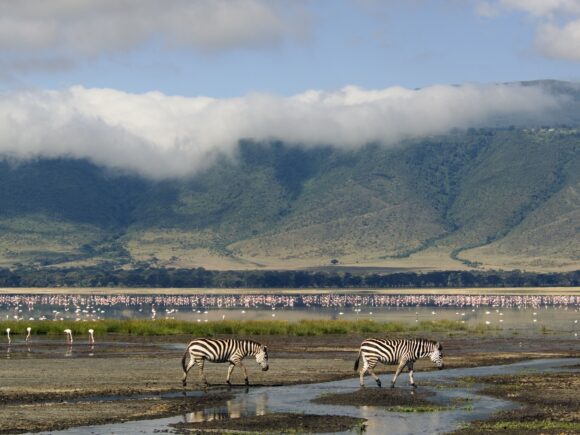 Ngorongoro-Schutzgebiet im Luxus-Stil – per Flugzeug