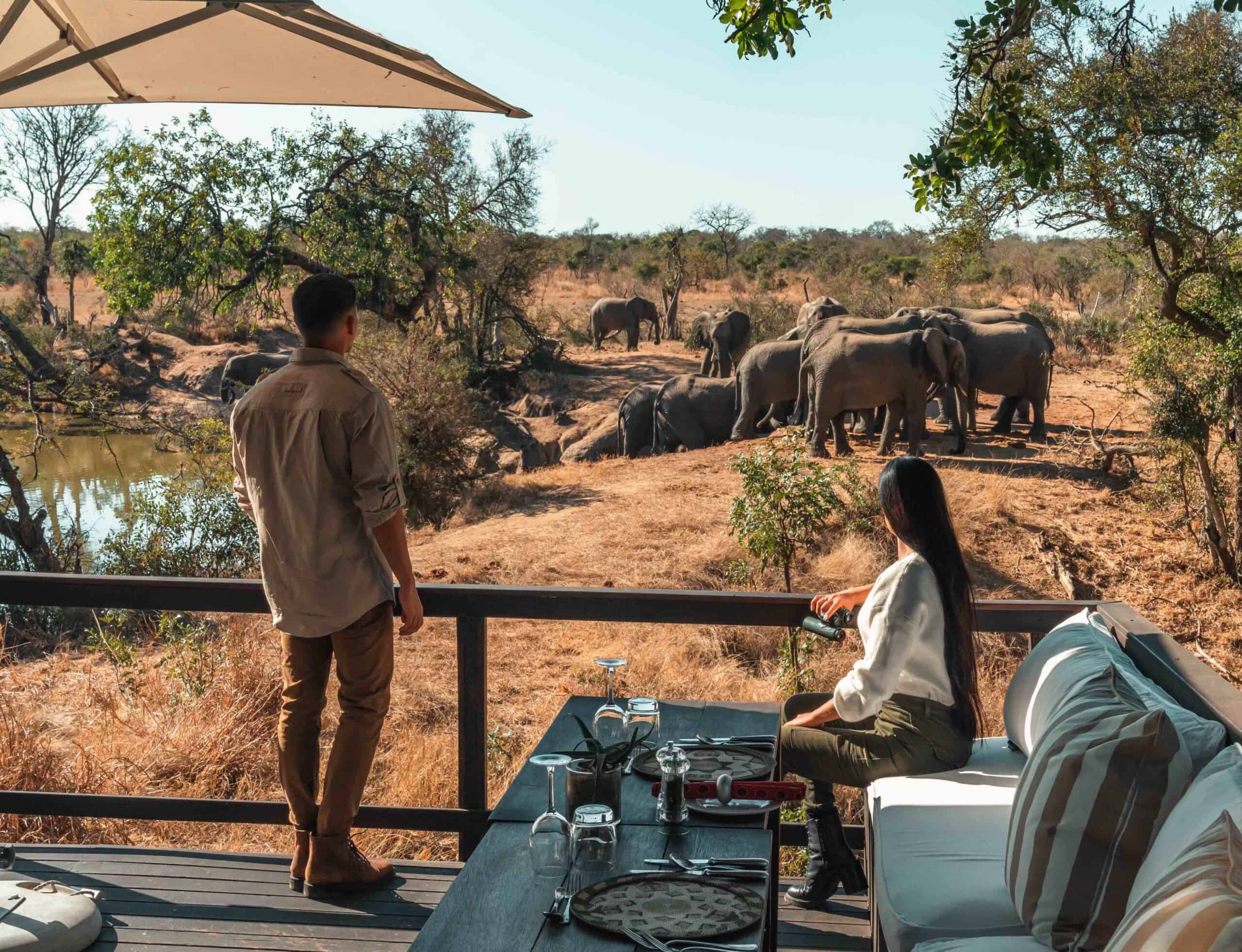 Honeymoon Safari