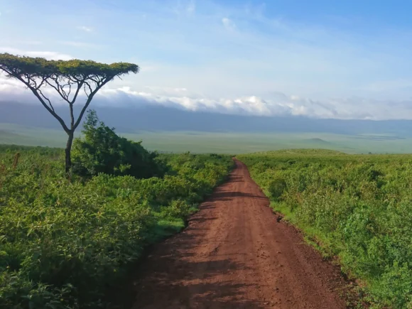 Is Tanzania Safe?