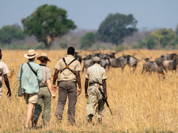 Wandersafari entlang des Rift Valley & Kultureller Ausflug nach Mto wa Mbu