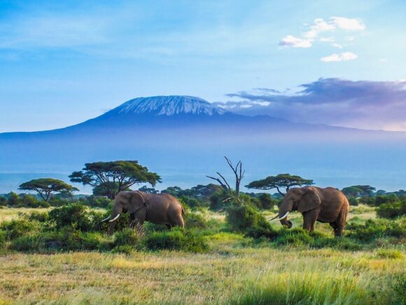 6 Reasons Kilimanjaro is the Escape You Need