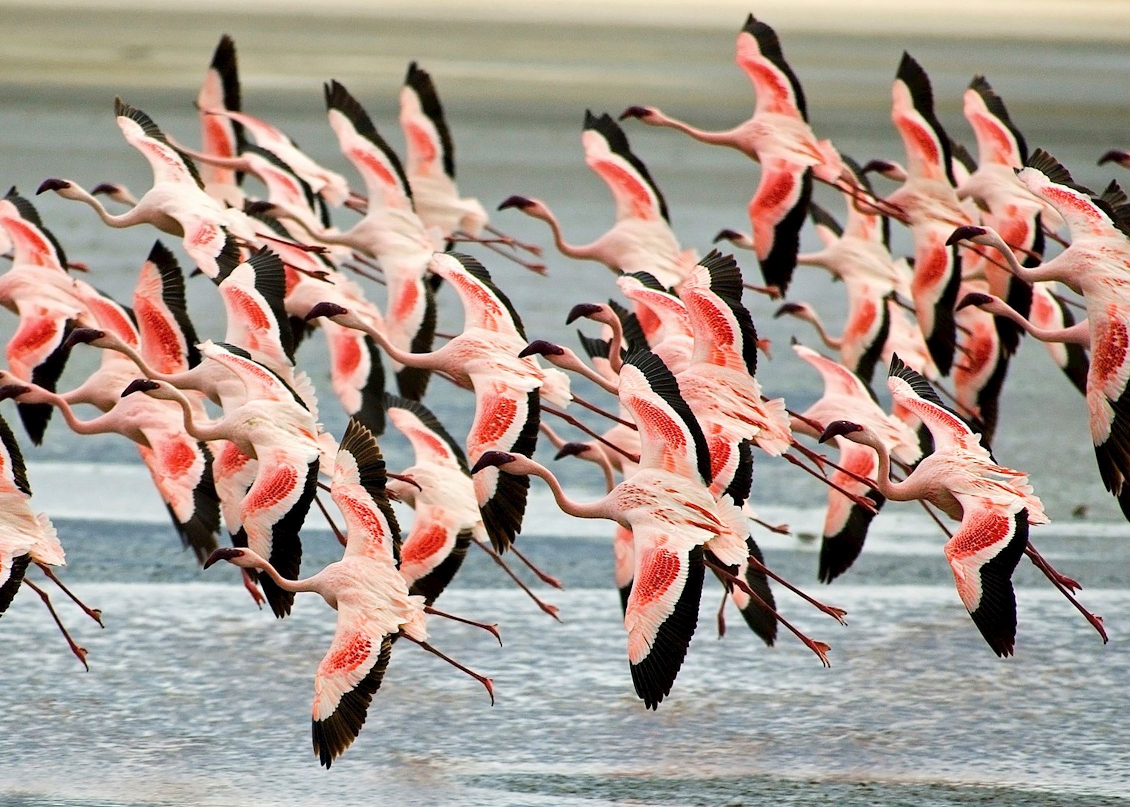 Ngorongoro Crater Safari