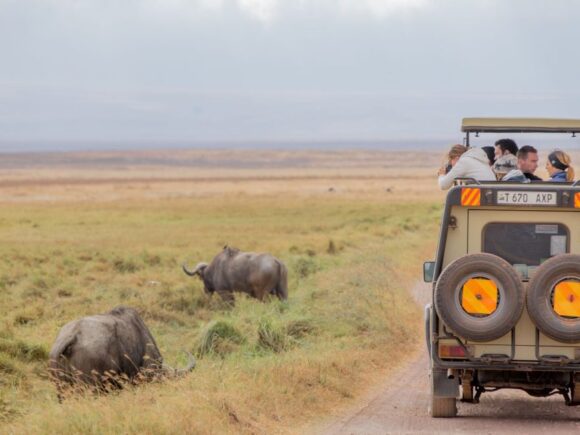 Barrierefreie Safaris