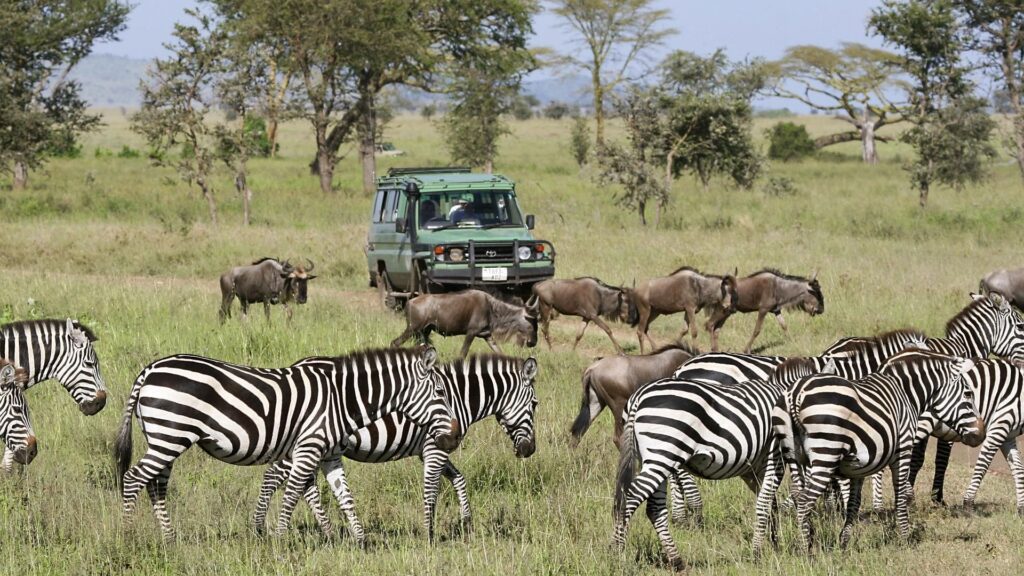 10 der schönsten und faszinierendsten Orte in Kenia