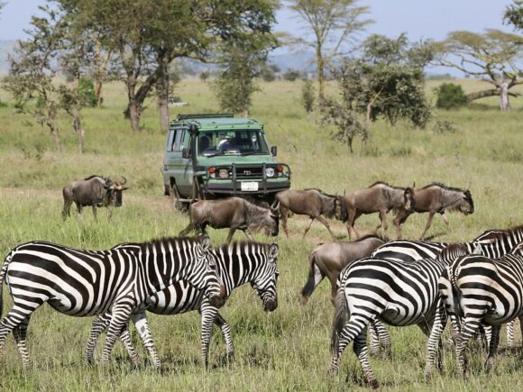 10 der schönsten und faszinierendsten Orte in Kenia