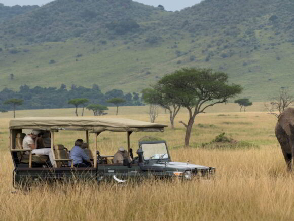 Selbstfahren in Tansania: 10 hilfreiche Tipps für deine Selbstfahrer-Safari