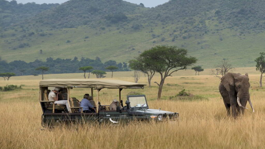 Die Masai-Mara-Conservancies – Eine Safari mit iArtist Adventure