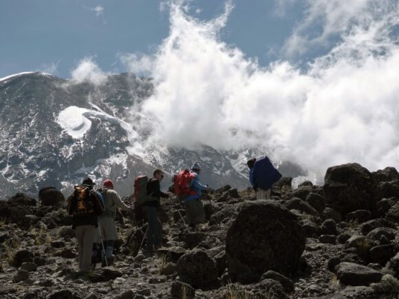 Traveling During a Pandemic: A Firsthand Safari Perspective