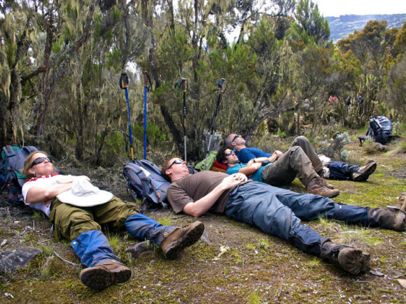 Ten Years After Triumph, Kili Trekkers Join for a Reunion