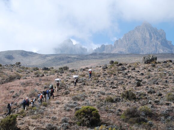 Welcome to Kilimanjaro’s Heath and Moorland Zones