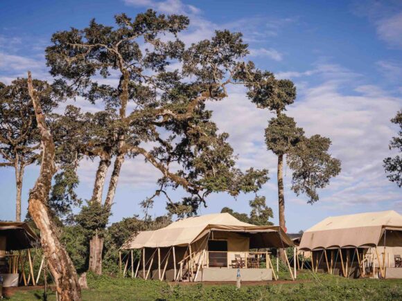 Tanzania Safari Packages – Value for Money