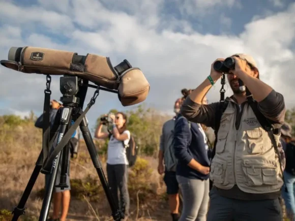 Africa Bird Watching Safaris with I Artist Adventure