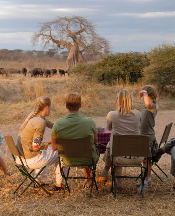 Tanzania Safari Holiday Package