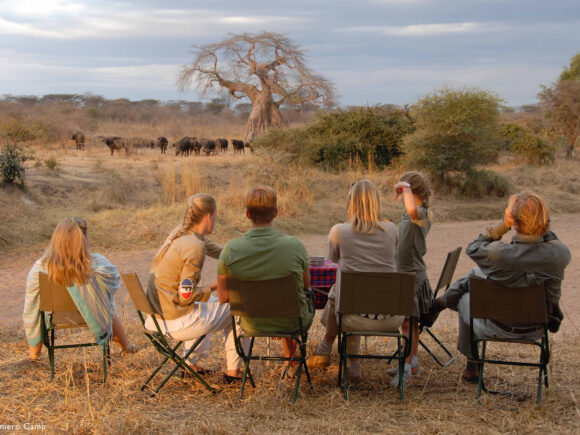 Tanzania Safari Holiday Package