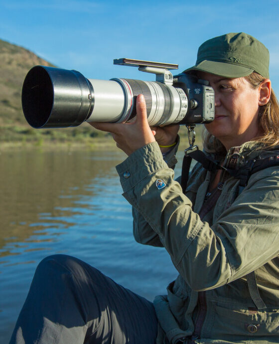 Bird Identification Guiding Safari