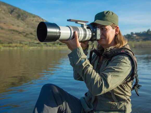 Bird Identification Guiding Safari