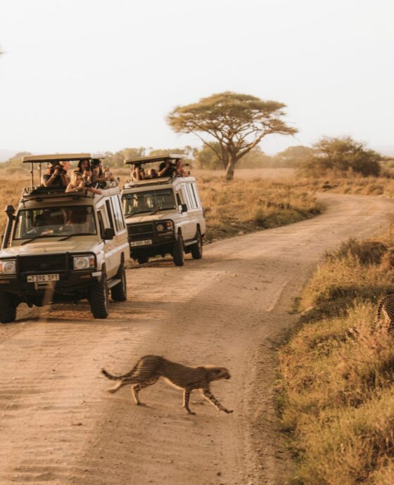I Artist Adventure – Tanzania’s Ultimate Safari Escape