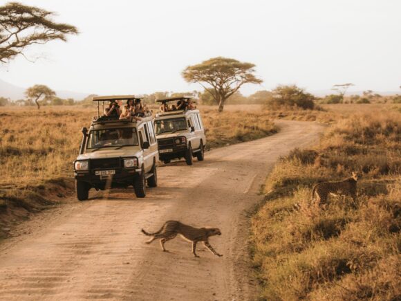 I Artist Adventure – Tanzania’s Ultimate Safari Escape