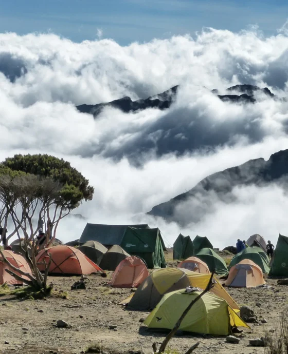 Who Can Climb Mount Kilimanjaro? 5 Trekkers Share What It Was Really Like