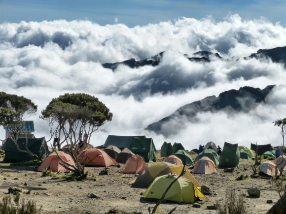 Who Can Climb Mount Kilimanjaro? 5 Trekkers Share What It Was Really Like