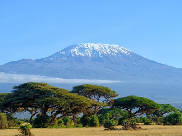 Touching the Roof of Africa on a Trip of a Lifetime