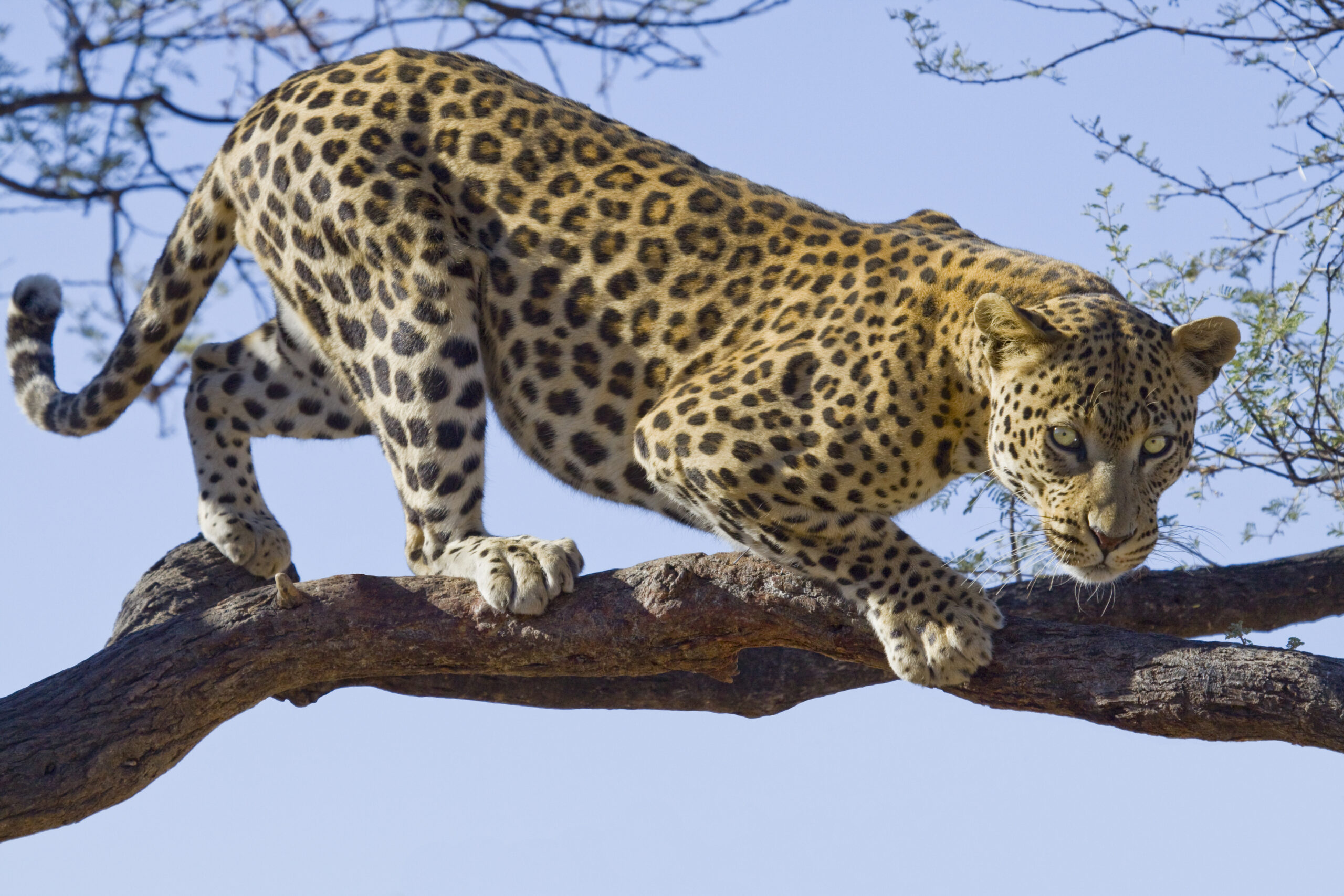 3-Day Private Safari with Culture Tour