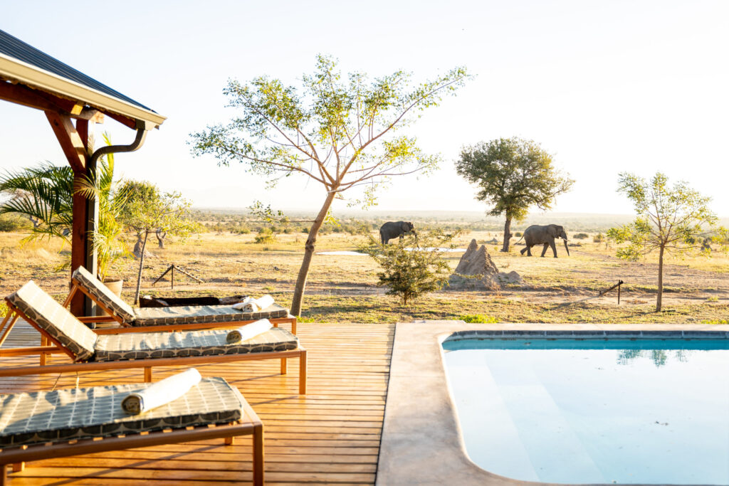3-Day Affordable Serengeti Wildebeest Calving Season