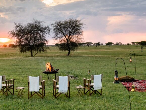 13 Luxury Tanzania Safari & Uganda Gorilla Trek