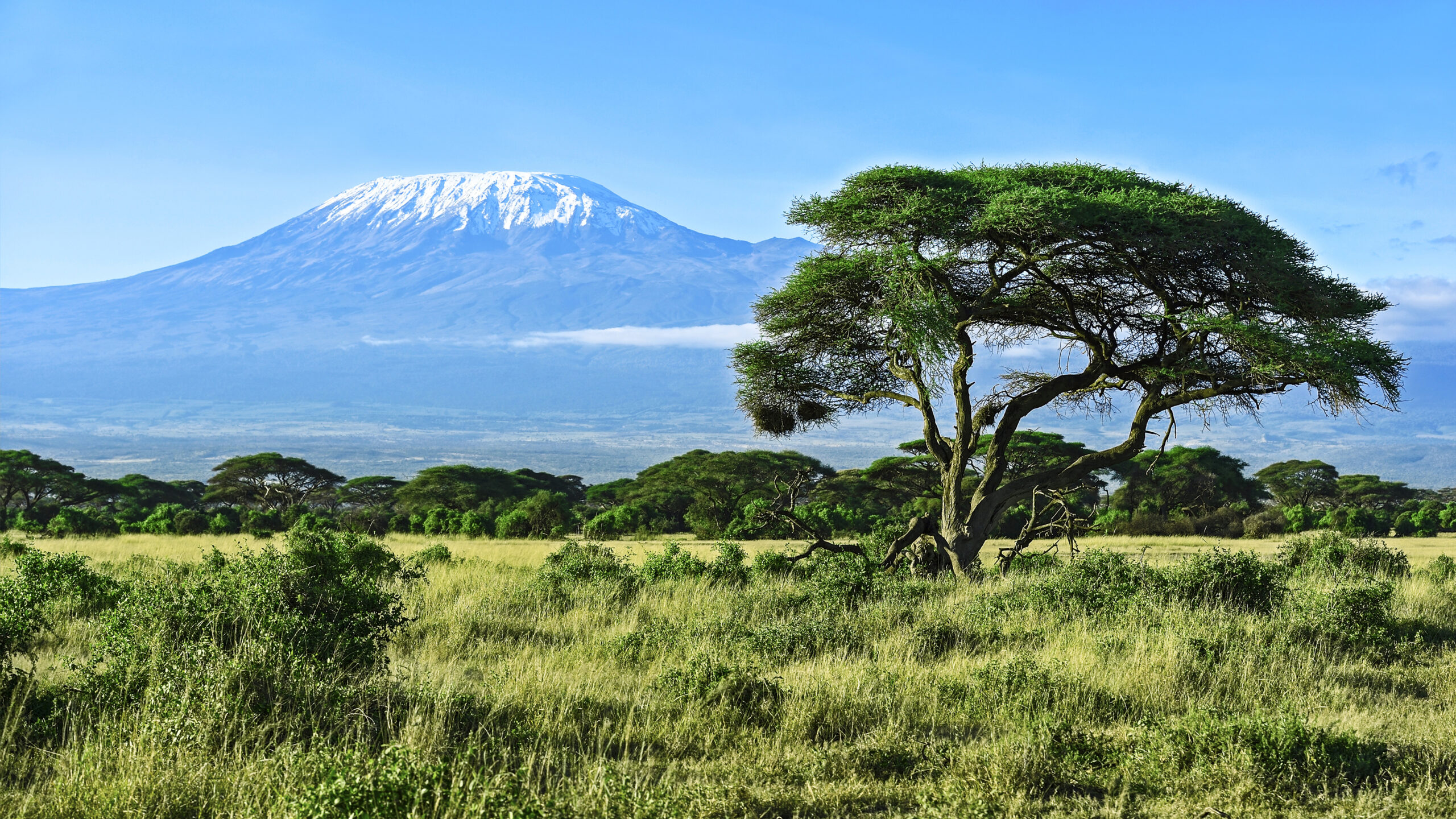 Lemosho Route Trek