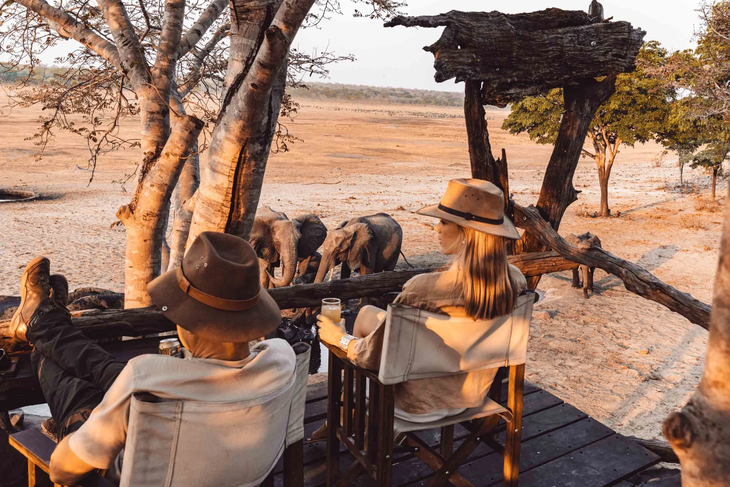 Walking Safari