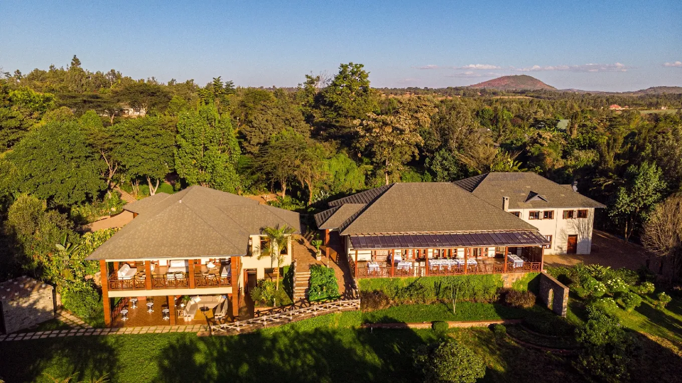 4-Day Serengeti Fly in Safari Adventure