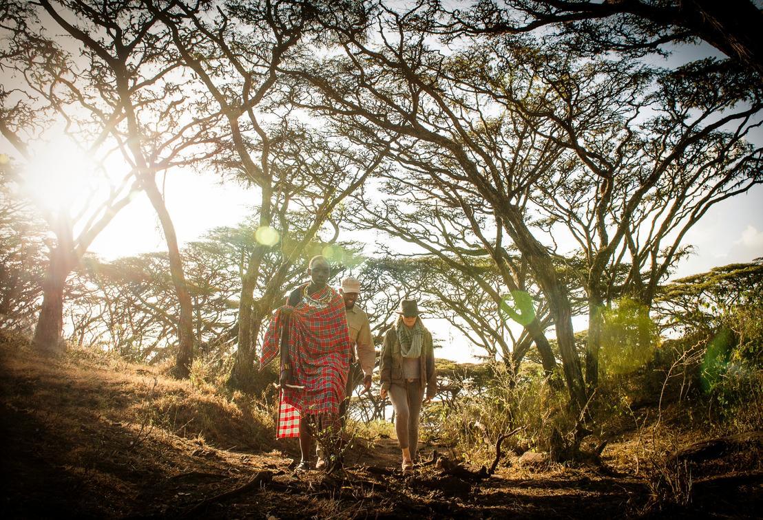 Entamanu Ngorongoro