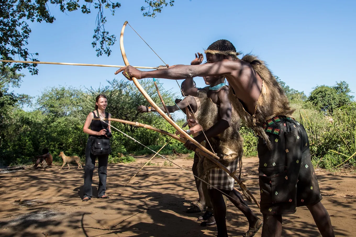 4-Day Luxury Wild Tour, Manyara, Serengeti, Ngorongoro