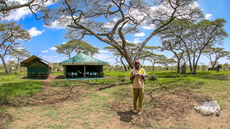 Halisi Camp Serengeti