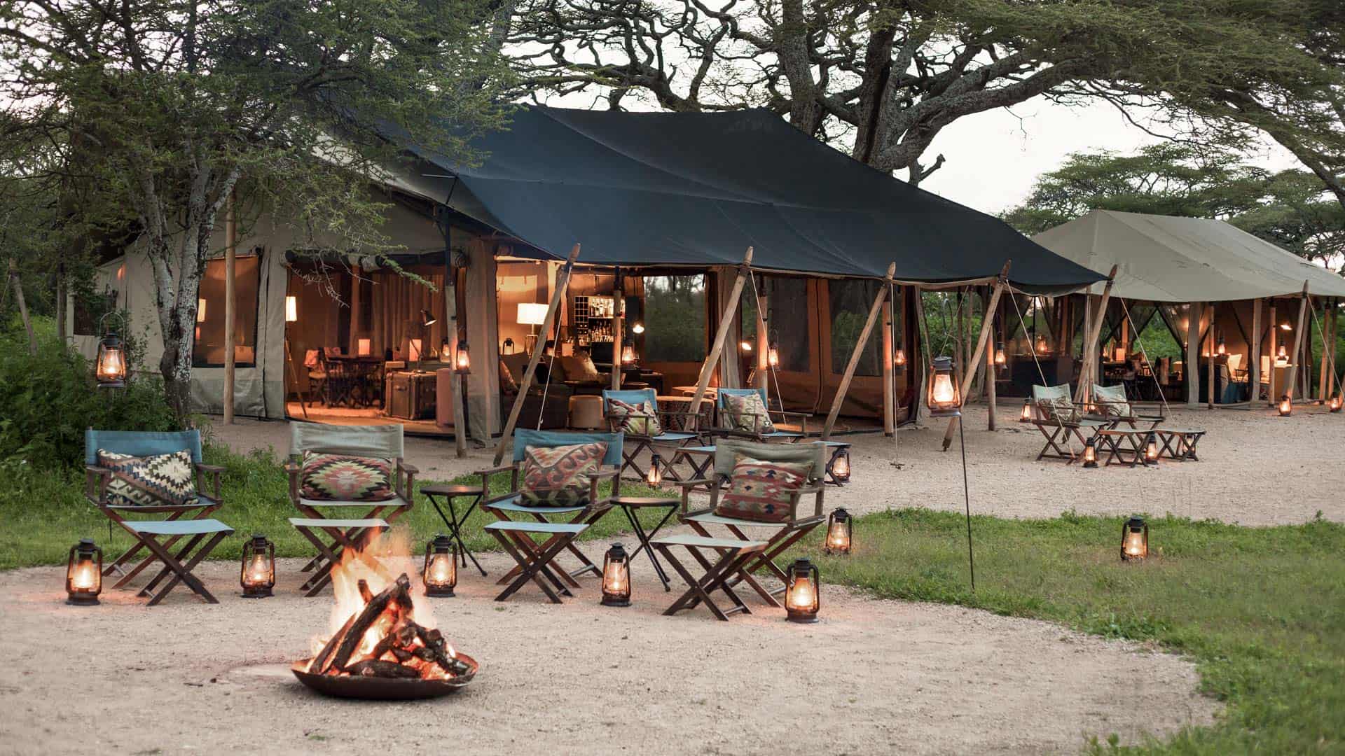 4-Day Calvin Season Migration Ndutu Migration