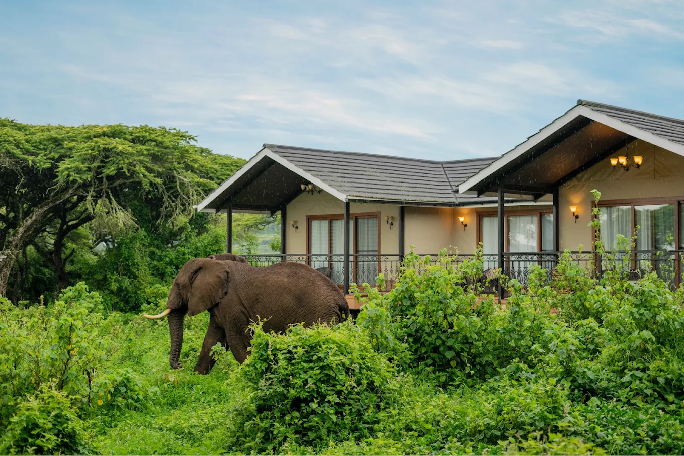 4-Day Safari Tarangire-Serengeti-Ngorongoro and Manyara