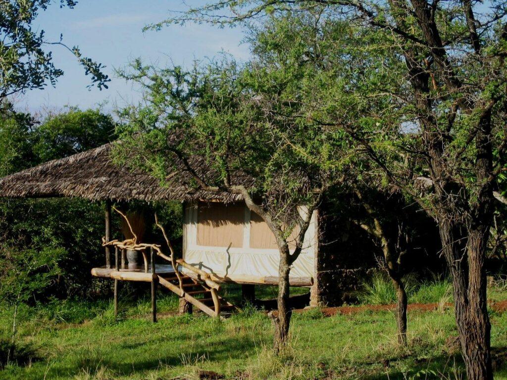 3-Day Serengeti and Ngorongoro Big Five Safari