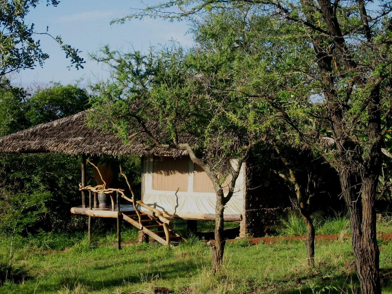 3-Day Serengeti and Ngorongoro Big Five Safari