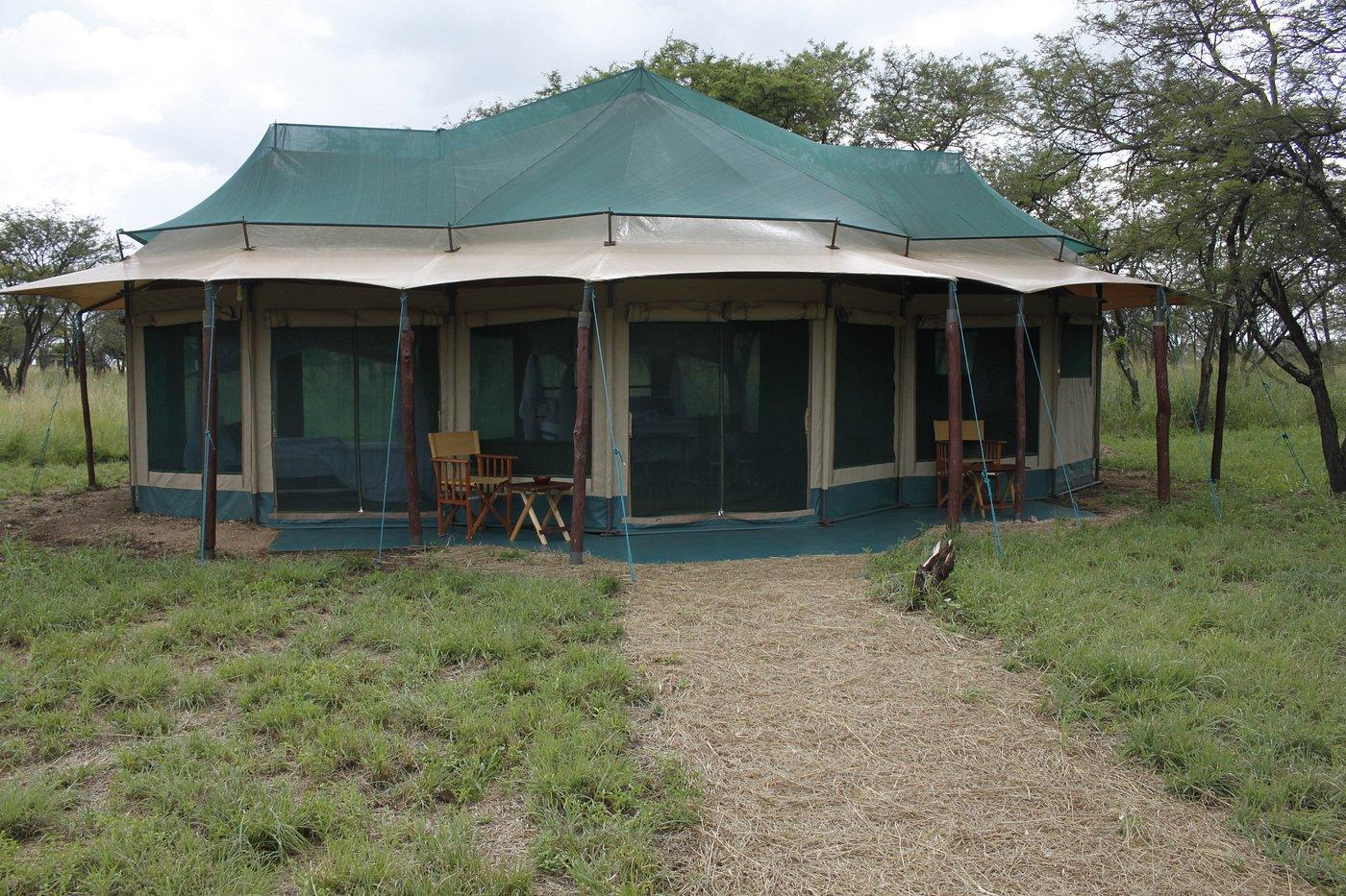 6-Day Northern Tanzania Safari Experience