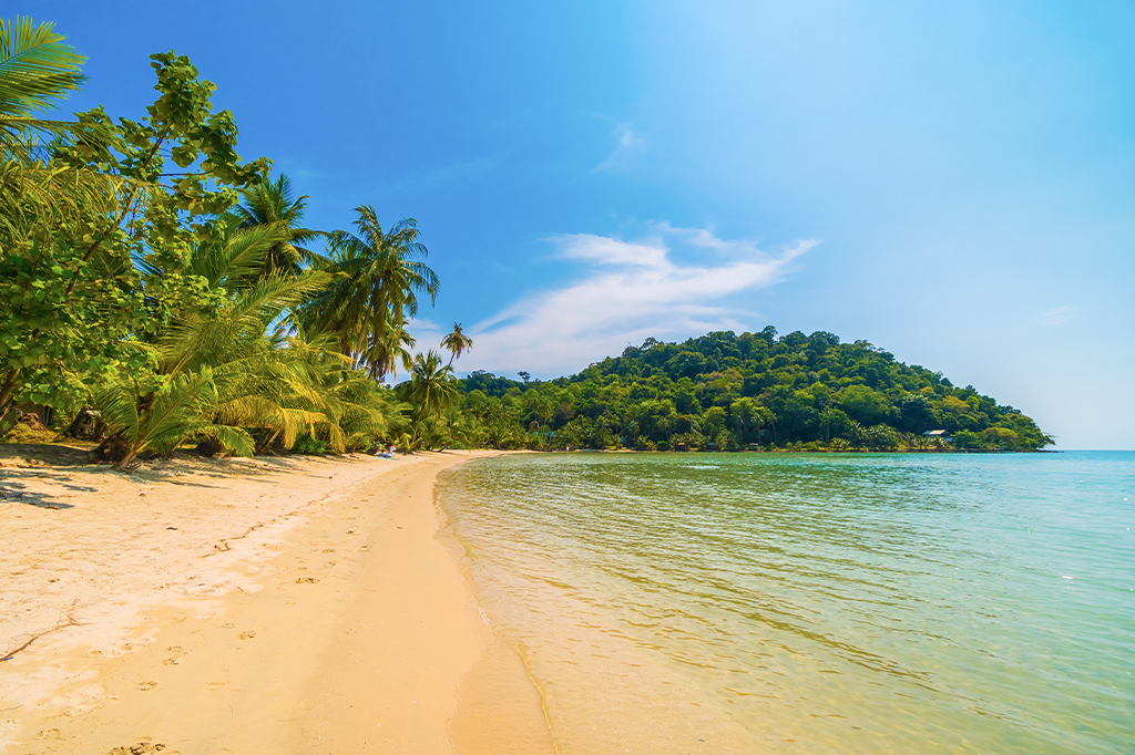 11-Day Incredible Safari & Beach Holiday