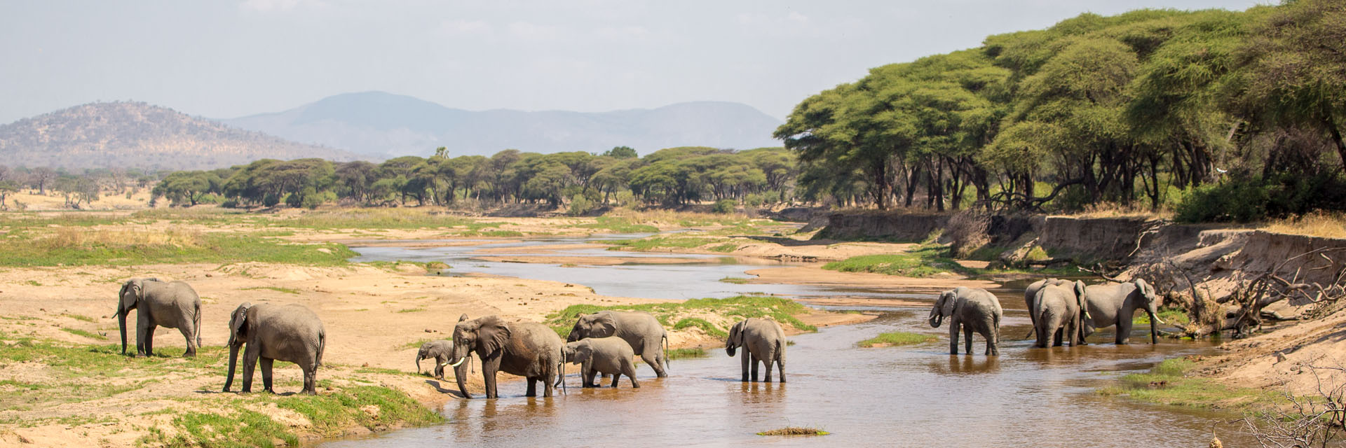 11-Day Nyerere, Ruaha & Zanzibar