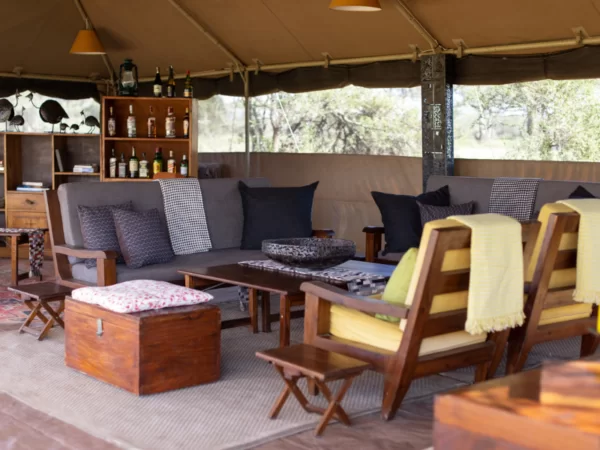 7-Day Safari Tarangire Serengeti Ngorongoro and Manyara