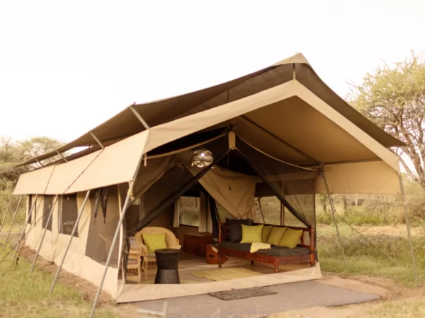 5-Day Serengeti 2 Nights Tarangire Ngorongoro Manyara