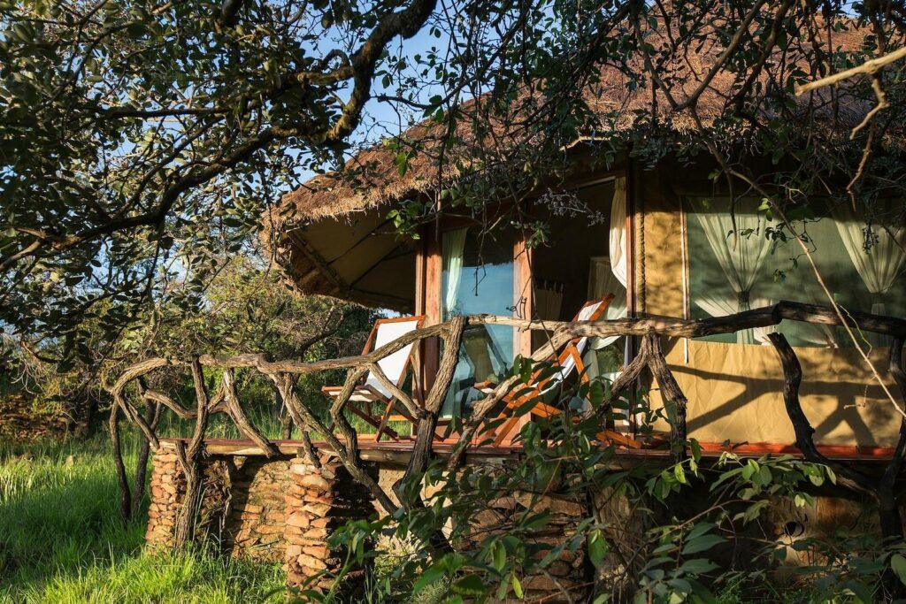 6-Day Family Tanzania Wildlife Safari